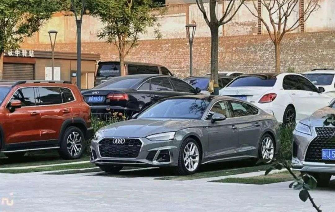 Audi, Tesla, Tucki, Audi Q5L, BMW