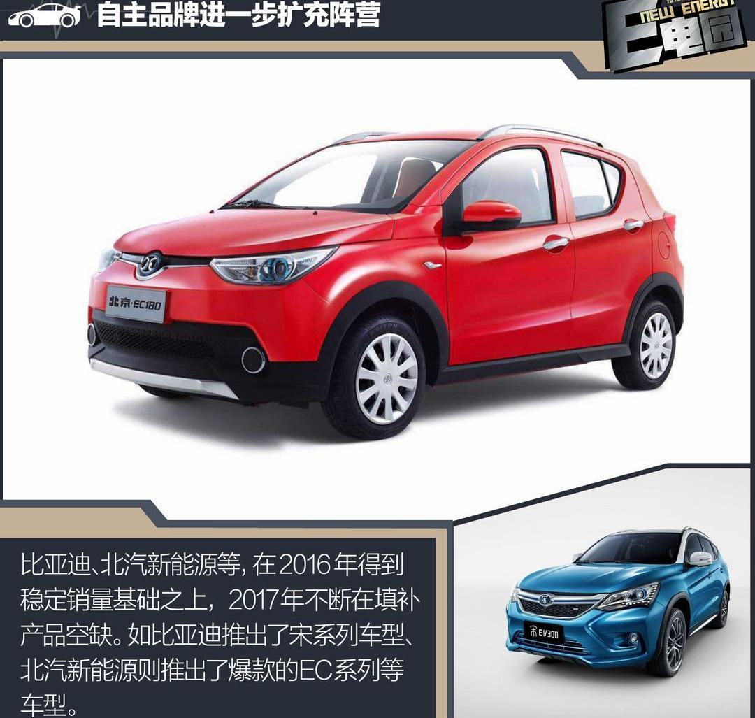 BYD, Volkswagen, Honda, BMW, Beijing