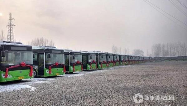 Shenlong bus, Beijing