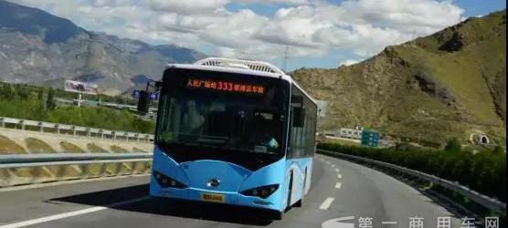 BYD, Shenlong Bus, Jinlv, Yutong Bus, Futian