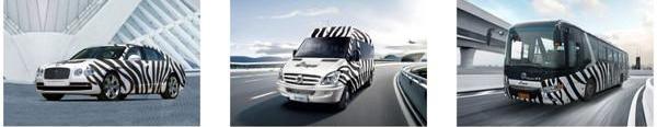 Zebra, Han, Dongfeng