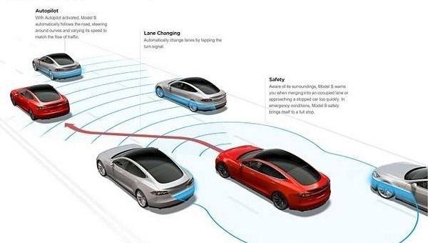 Tesla, Model S, Seals, Honda, Mercedes-Benz