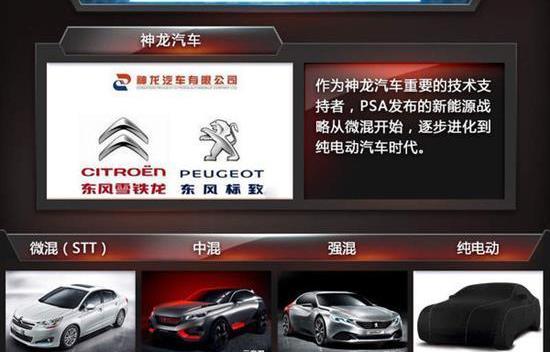 Peugeot, Citroen, Dongfeng, Tesla