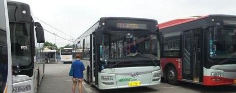 Discovery, Zhongtong Bus