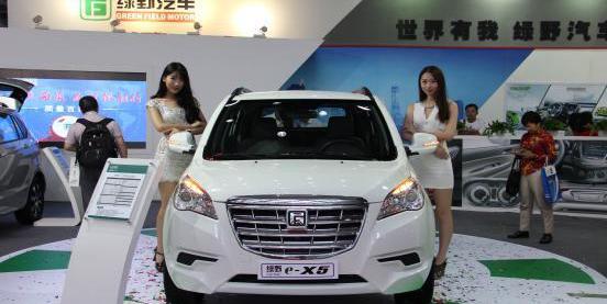 BYD, Zotye, Beijing, Dongfeng, Roewe