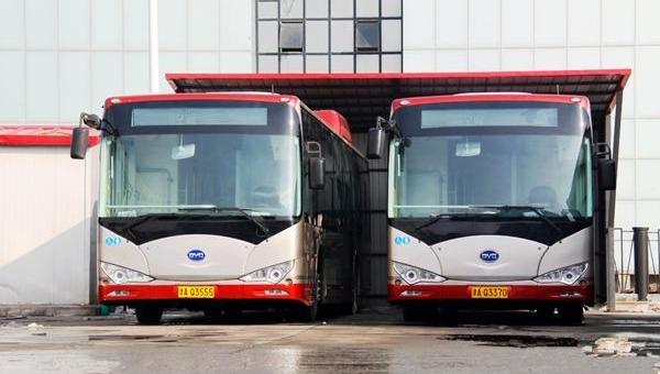 BYD, Yutong Bus, Jinlong, Beijing, Guangzhou Automobile Group