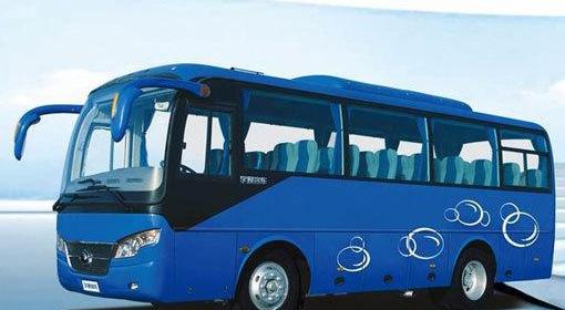 BYD, Mercedes-Benz, Tangxin Energy, Yutong Bus and Zhongtong Bus