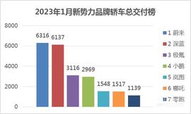 长安,极氪,理念,蔚来,小鹏