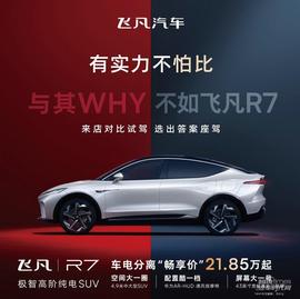 飞凡R7,飞凡汽车,Model Y