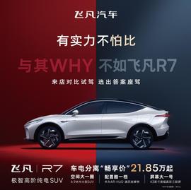 飞凡R7,飞凡汽车,Model Y