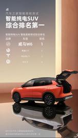 威马W6,大众,特斯拉,Model Y,蔚来