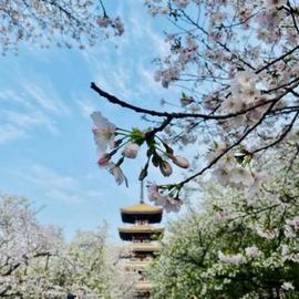 东风,东风风神,汉,风神AX7,猛士