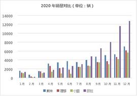 欧拉,长城,欧拉好猫,蔚来,小鹏