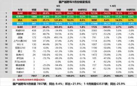 坦克,坦克300,北京,哈弗,哈弗H9