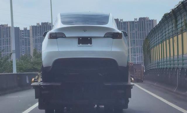 Model Y,特斯拉,元新能源,Model 3