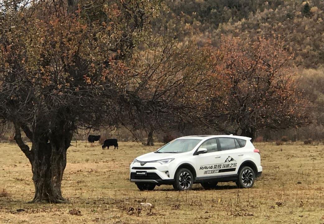 RAV4荣放,丰田,大众,发现,曼