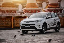 RAV4荣放,丰田,大众,发现,曼