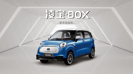 凌宝汽车,凌宝BOX